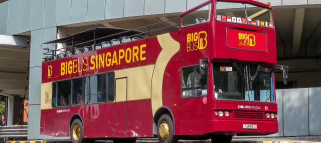 Ônibus turístico de Singapura
