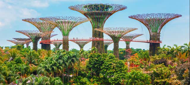 Ingresso dos Gardens by the Bay