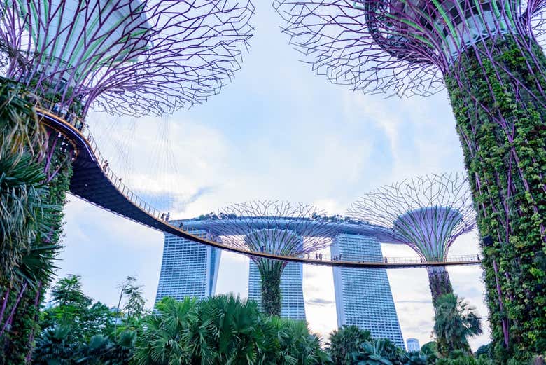 Marina Bay