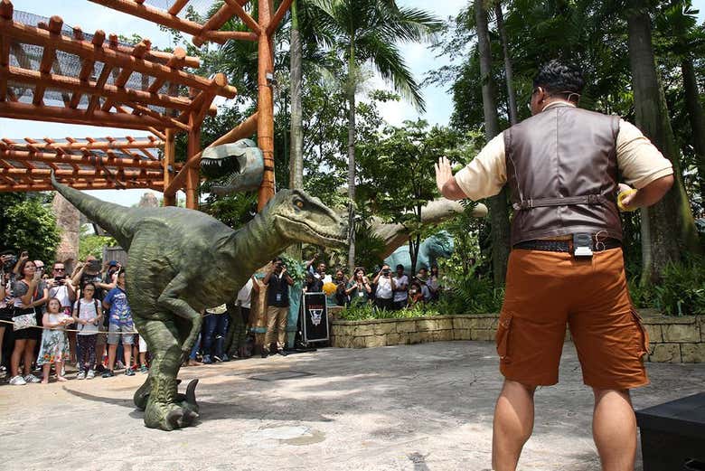 No Jurassic Park