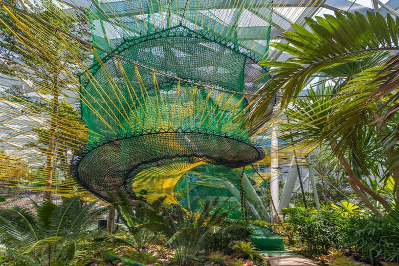 Redes do Canopy Park no aeroporto de Singapura